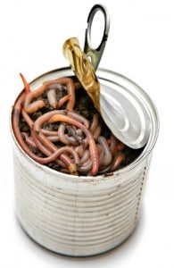 english-idioms-can-of-worms English Idioms - Can of worms