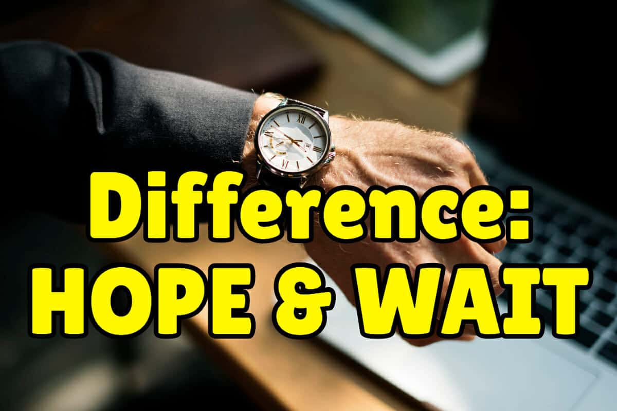 Difference between hope and wait espresso english