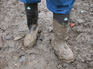 english-idioms-mud English Idioms - As clear as mud