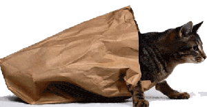 English Idioms: Let the cat out of the bag