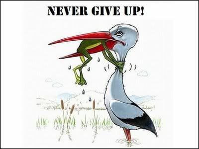 Phrasal Verbs - Give up