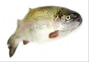 english-idioms-smells-fishy English Idioms: Smells fishy