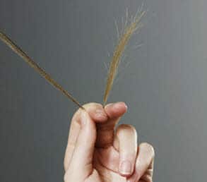 English Conversation - Hairstyles - Split Ends
