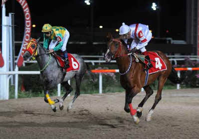 horse-racing-track