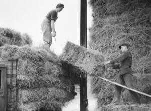 farmhand