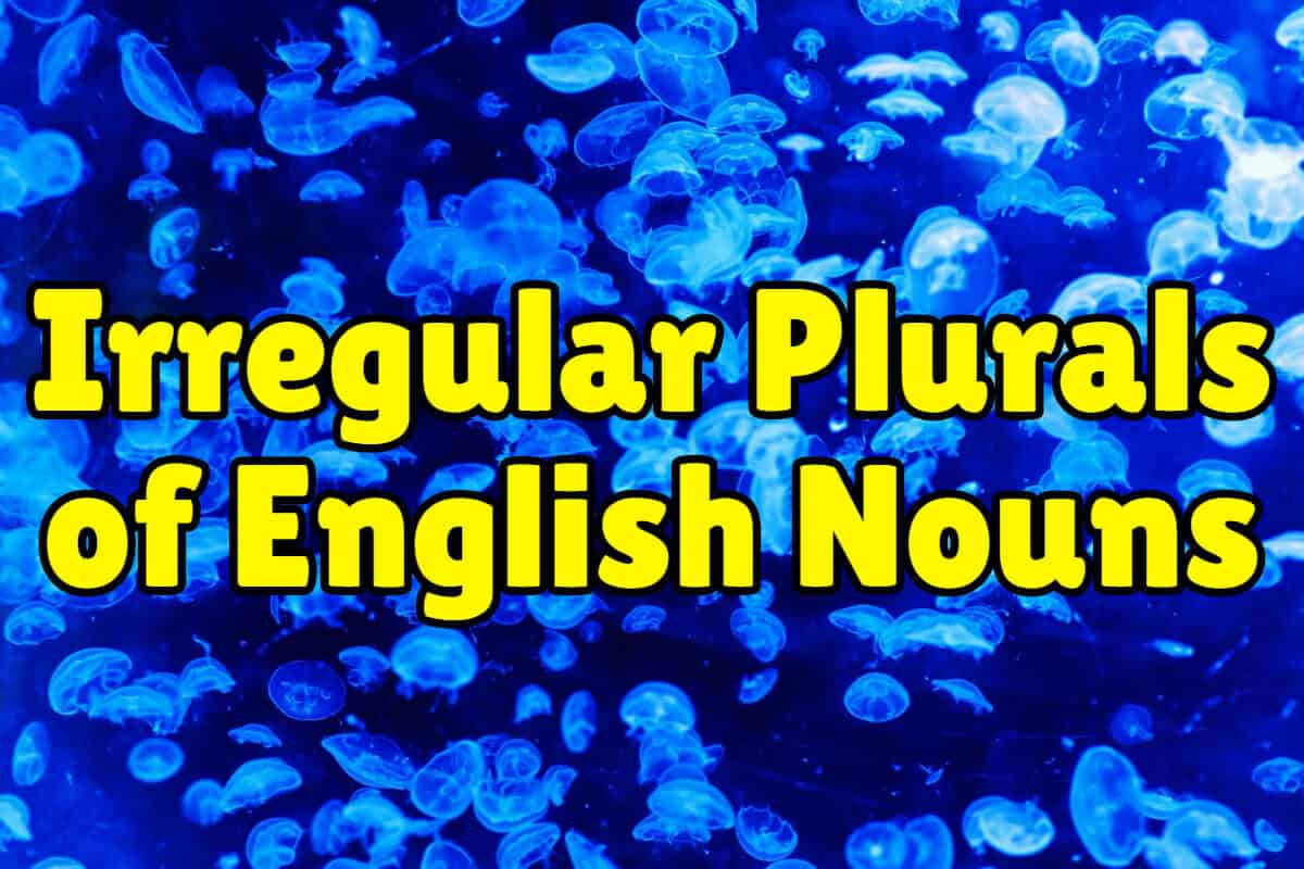 plural of memoranda