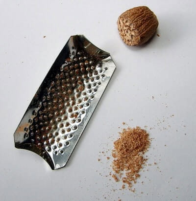 English Vocabulary Words - Nutmeg