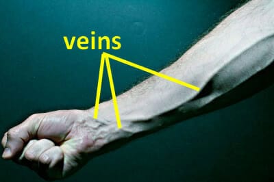 English Words Vein Vain