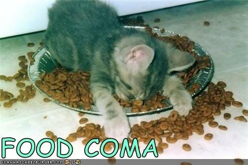 food-coma