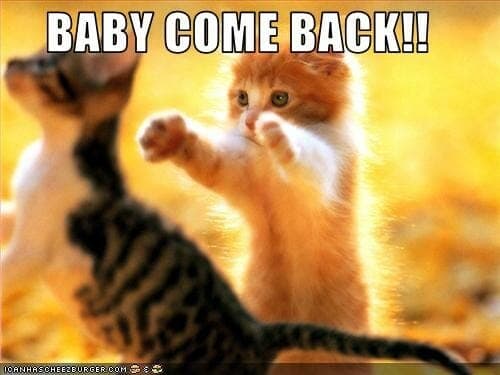 Common English Phrasal Verbs - Come Back