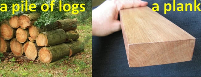 English Vocabulary Words Trees