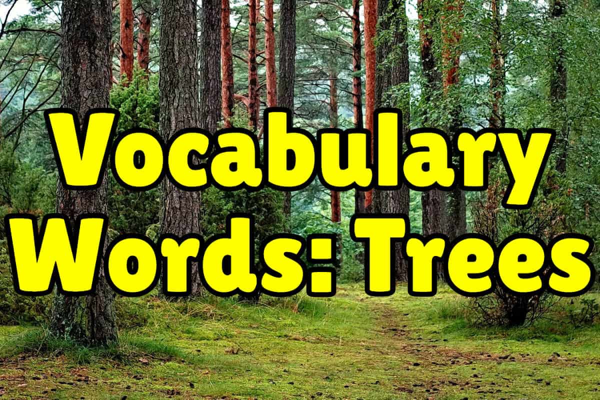 5 letter words using trees