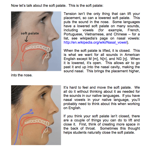 Book-Excerpt-1